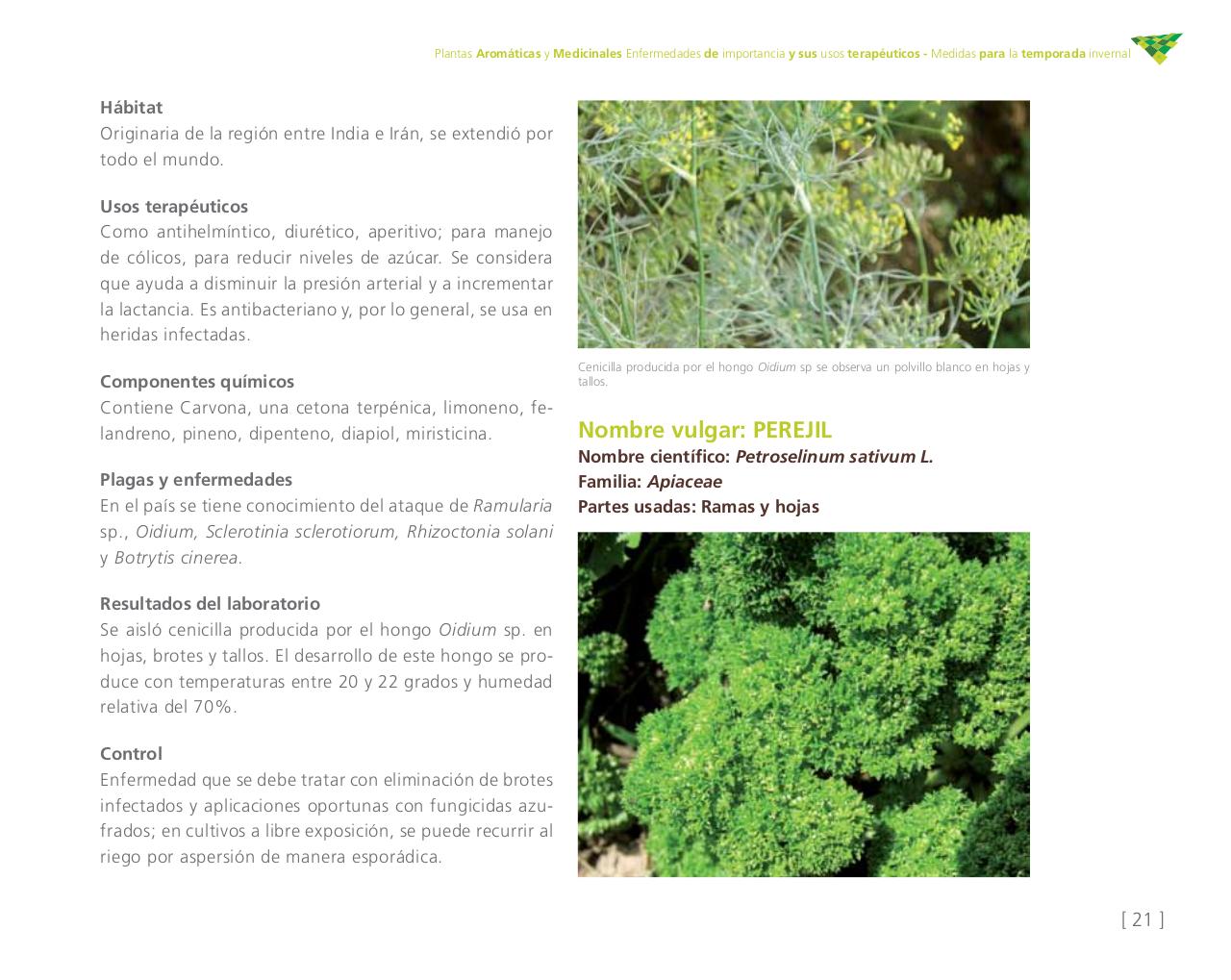 Vista previa del archivo PDF cartilla-aromatica-ica-baja-jun-6.pdf