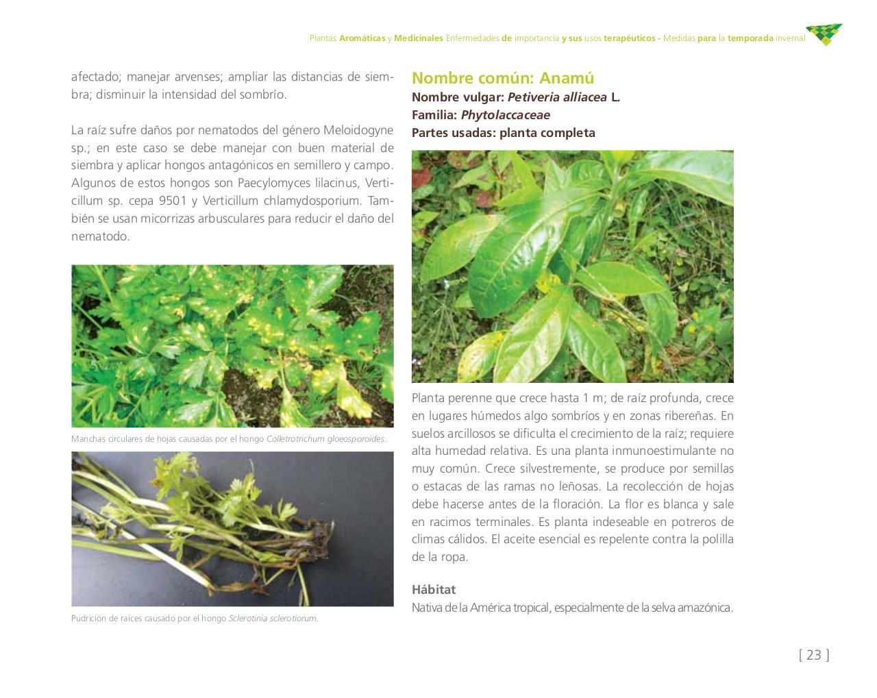 Vista previa del archivo PDF cartilla-aromatica-ica-baja-jun-6.pdf