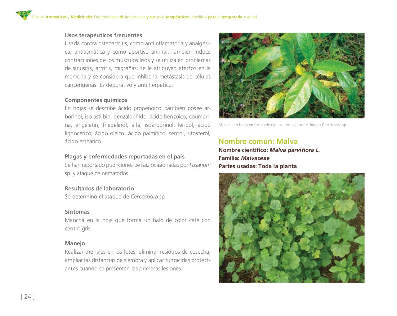 Vista previa del archivo PDF cartilla-aromatica-ica-baja-jun-6.pdf