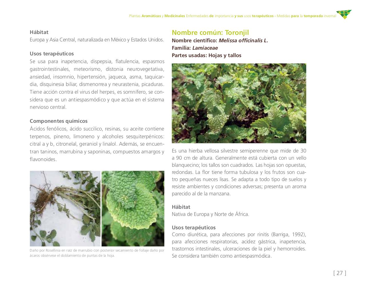 Vista previa del archivo PDF cartilla-aromatica-ica-baja-jun-6.pdf