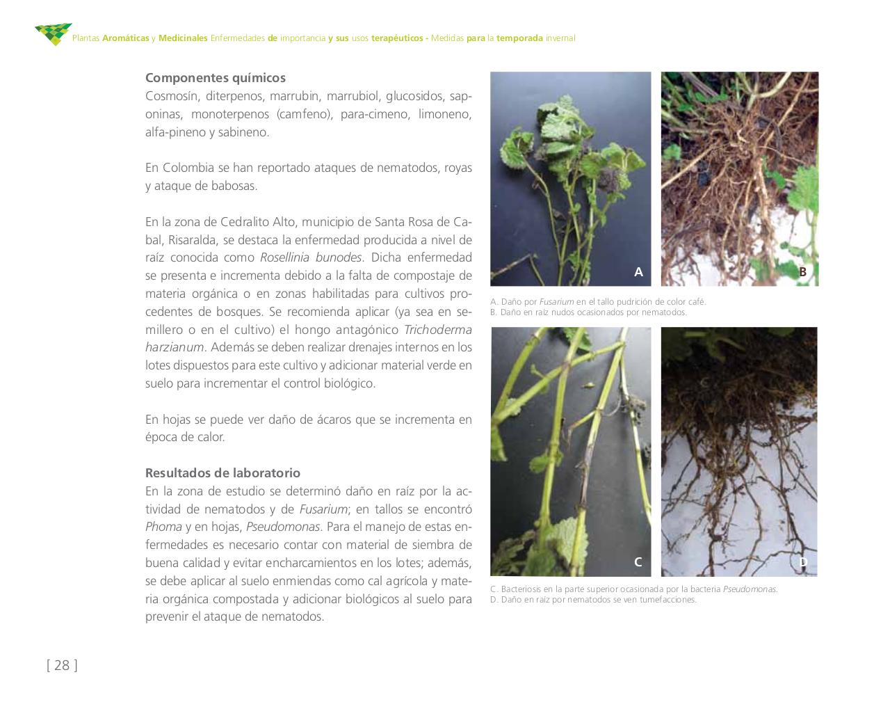 Vista previa del archivo PDF cartilla-aromatica-ica-baja-jun-6.pdf