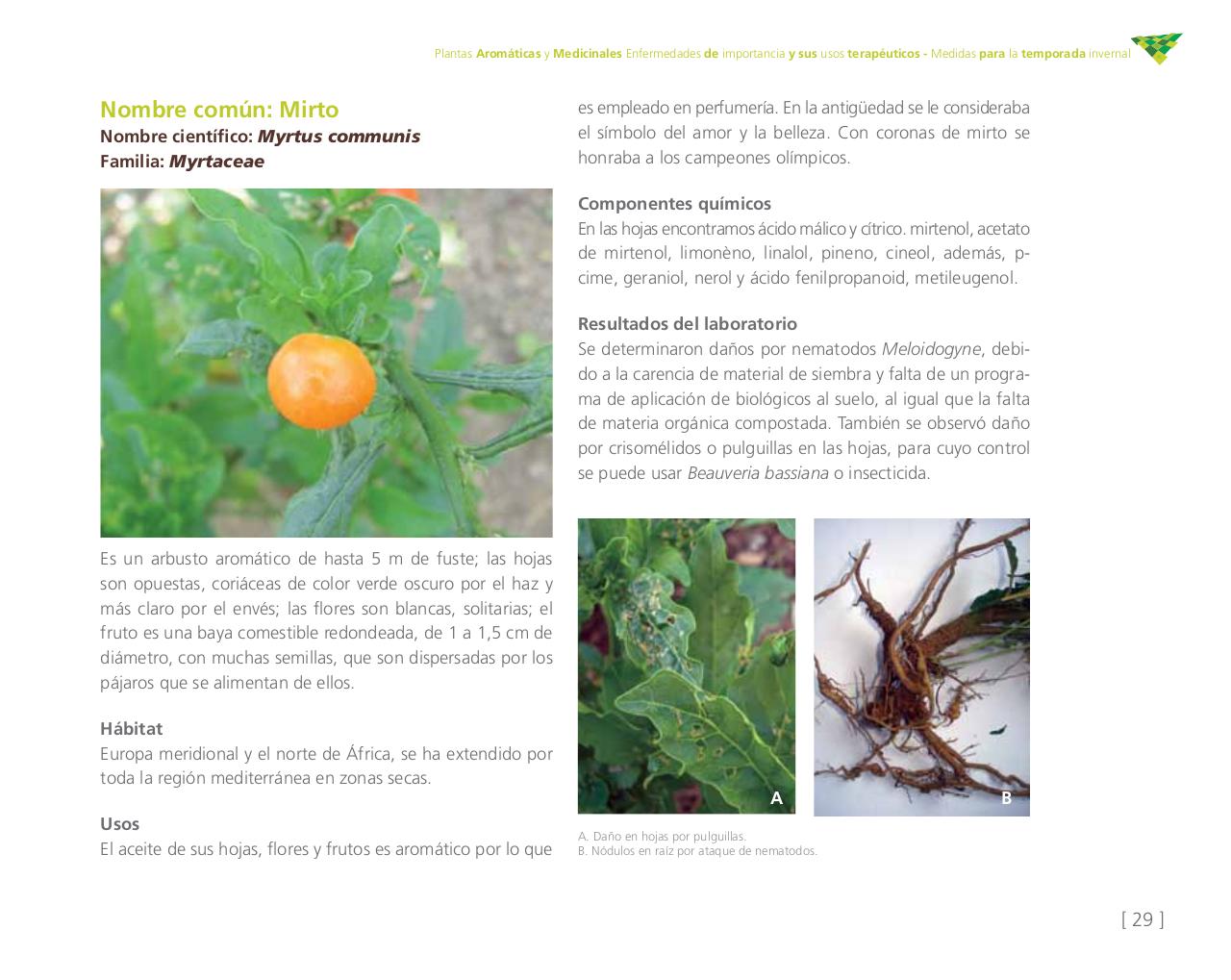 Vista previa del archivo PDF cartilla-aromatica-ica-baja-jun-6.pdf