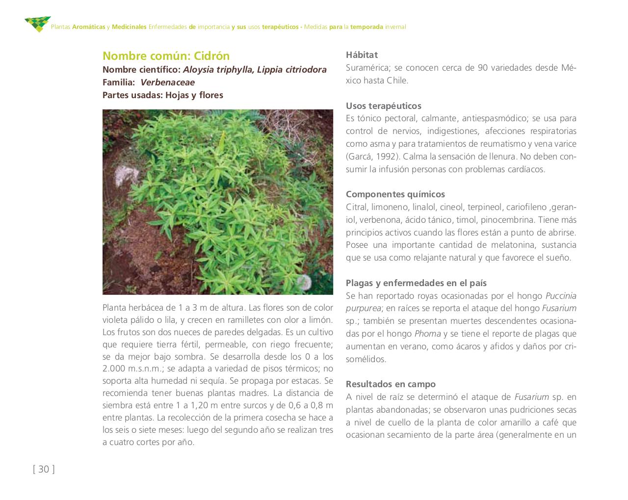 Vista previa del archivo PDF cartilla-aromatica-ica-baja-jun-6.pdf