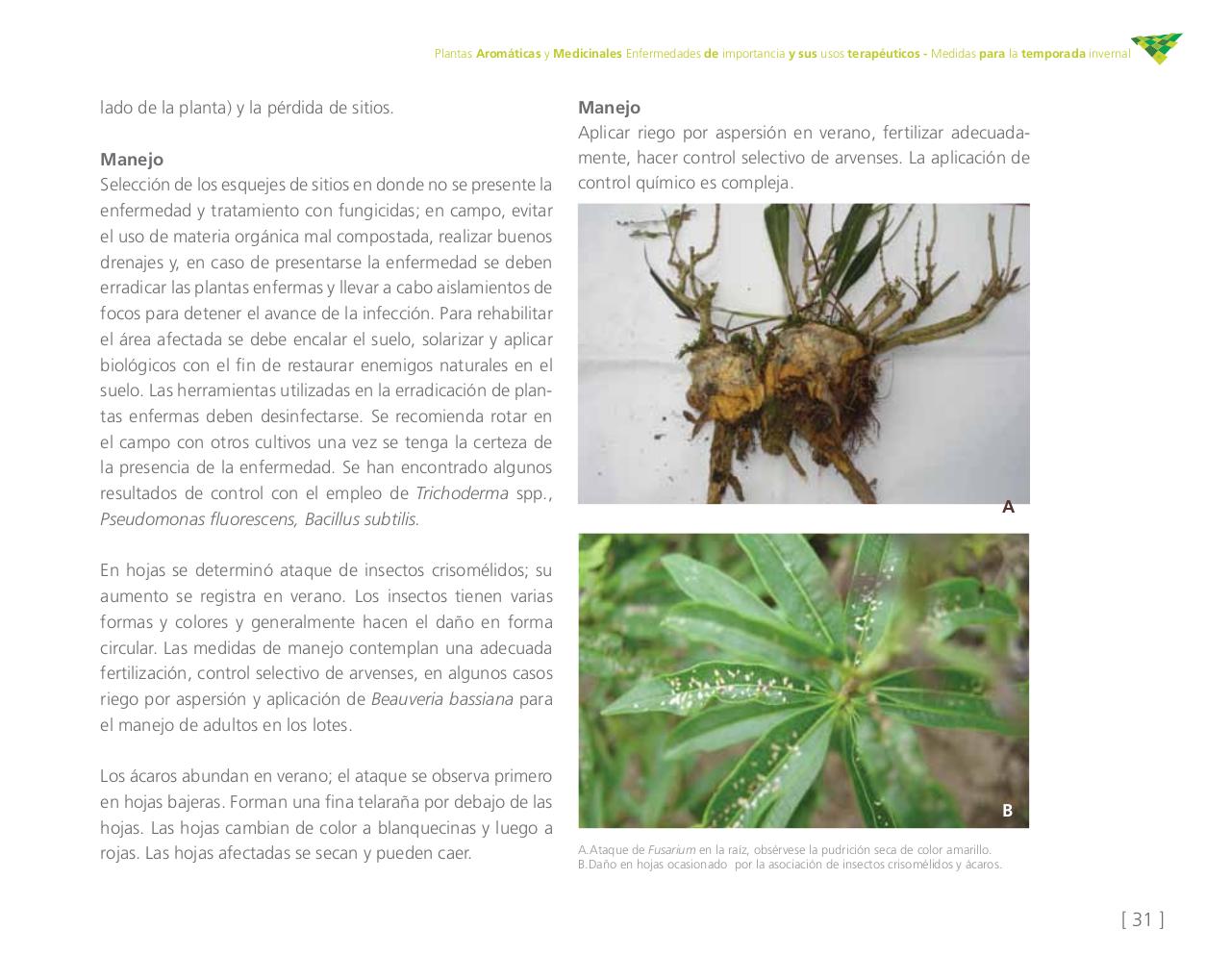 Vista previa del archivo PDF cartilla-aromatica-ica-baja-jun-6.pdf