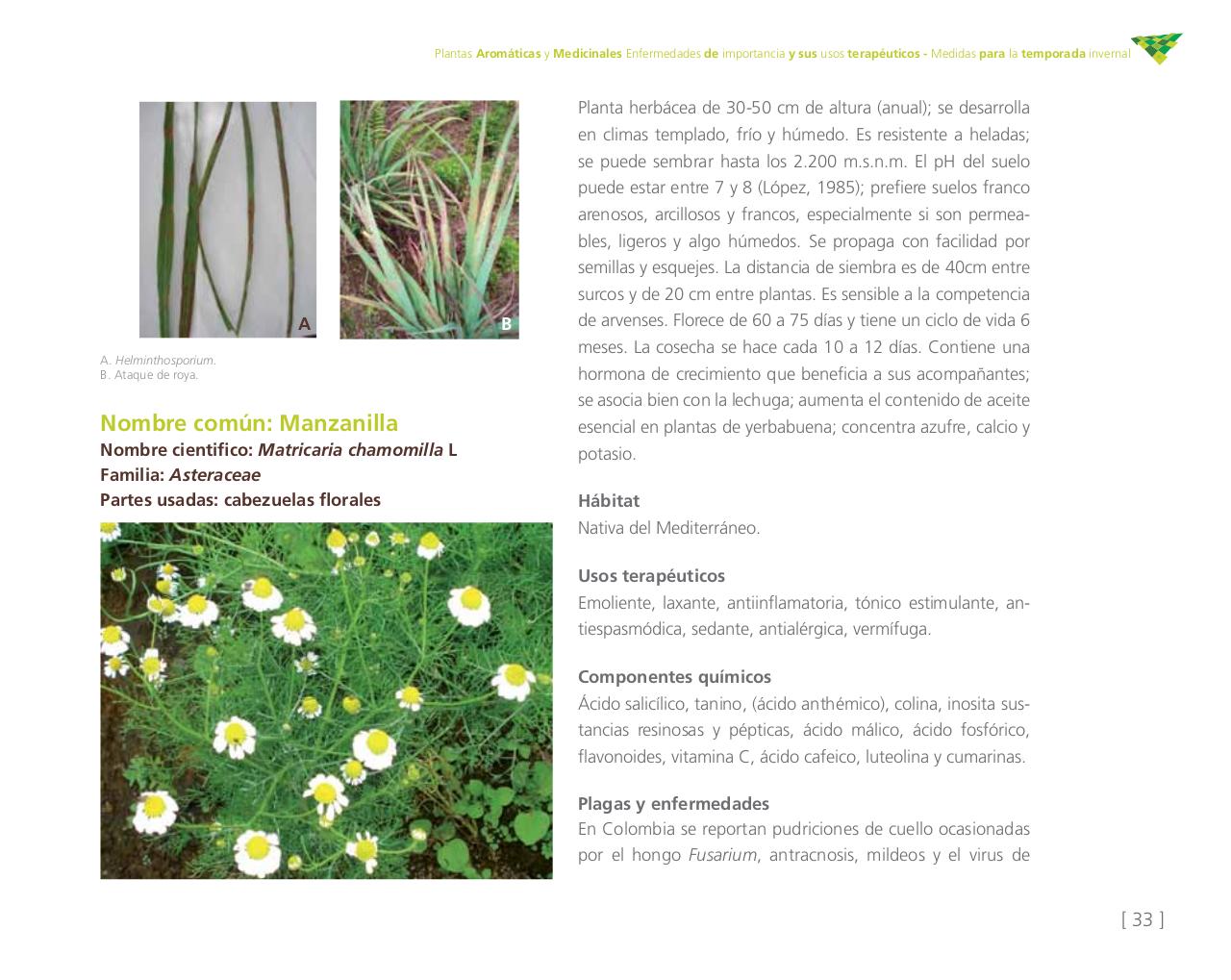 Vista previa del archivo PDF cartilla-aromatica-ica-baja-jun-6.pdf