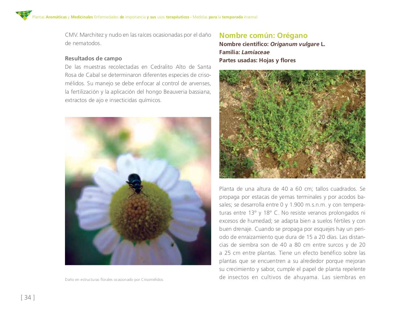 Vista previa del archivo PDF cartilla-aromatica-ica-baja-jun-6.pdf