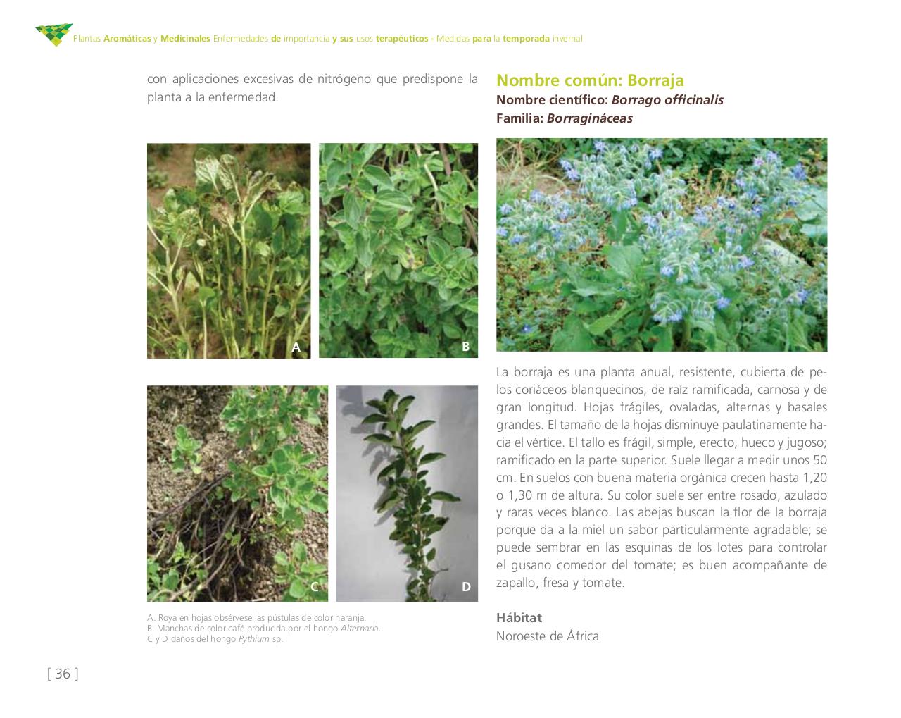 Vista previa del archivo PDF cartilla-aromatica-ica-baja-jun-6.pdf