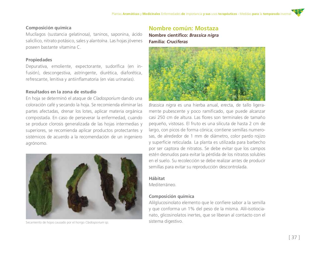 Vista previa del archivo PDF cartilla-aromatica-ica-baja-jun-6.pdf