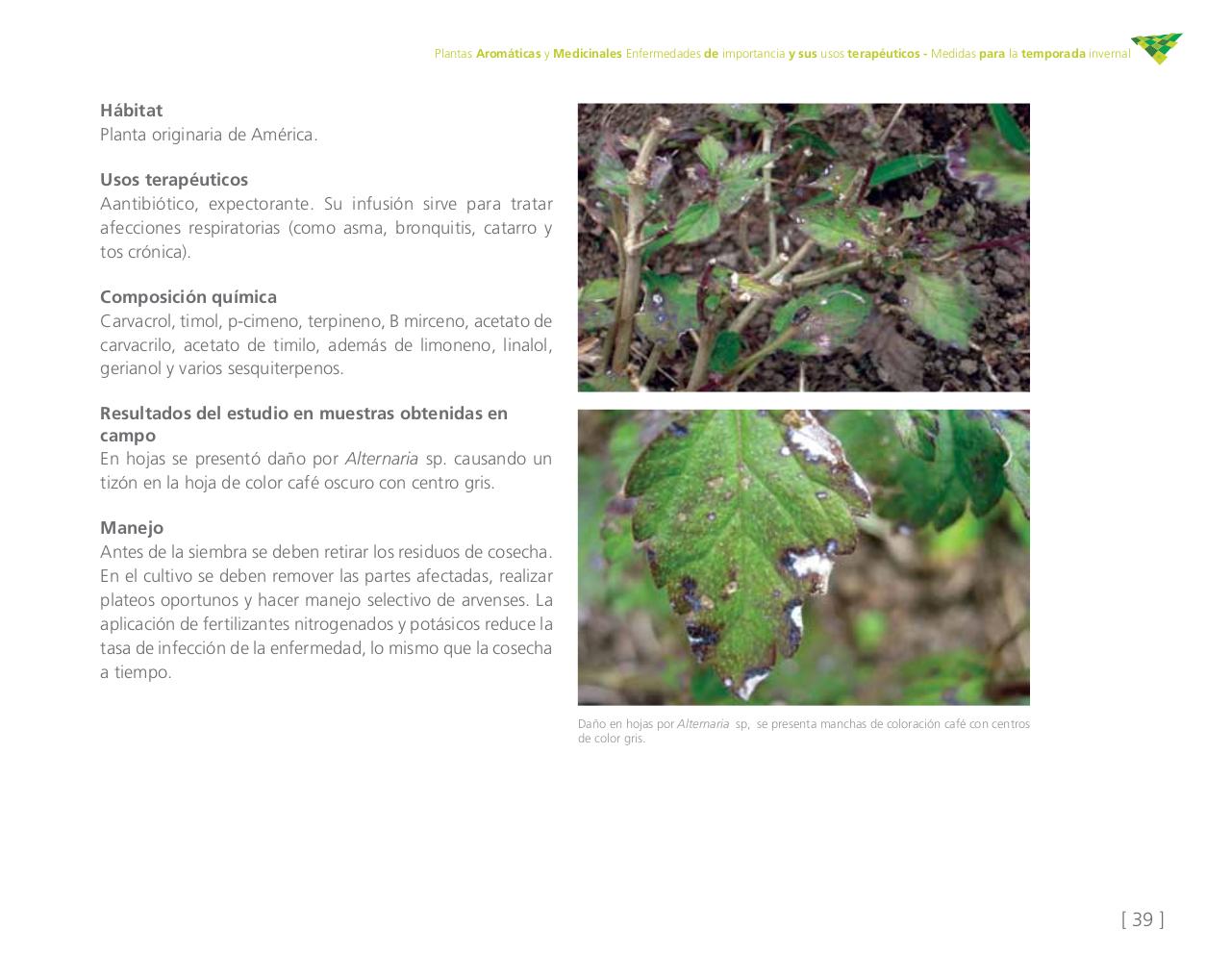 Vista previa del archivo PDF cartilla-aromatica-ica-baja-jun-6.pdf