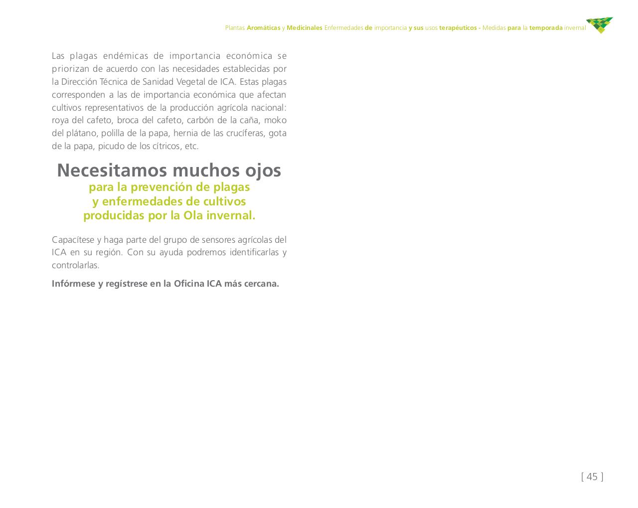 Vista previa del archivo PDF cartilla-aromatica-ica-baja-jun-6.pdf