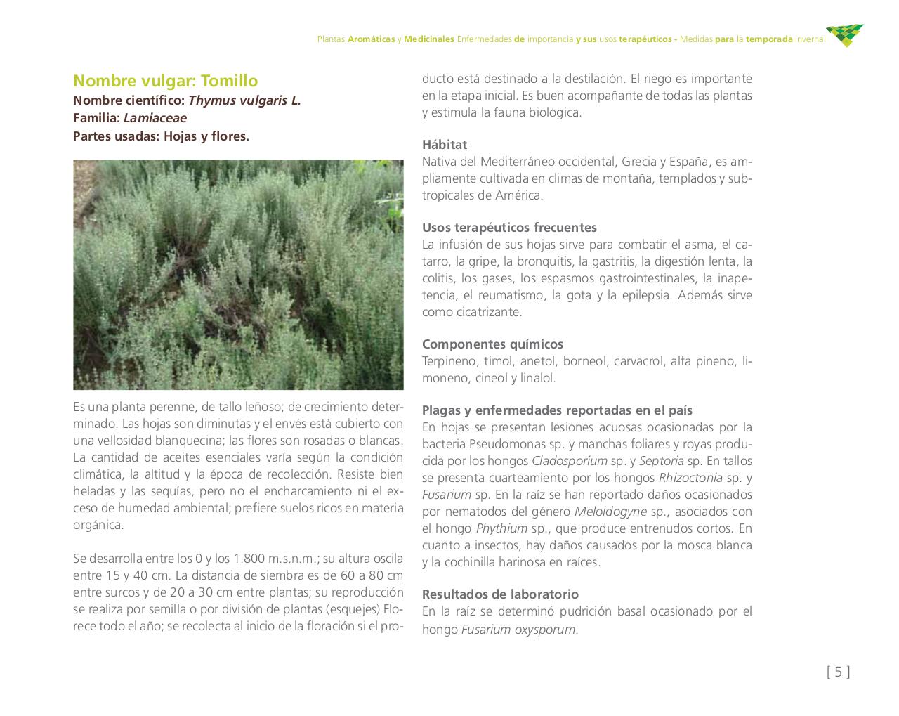 Vista previa del archivo PDF cartilla-aromatica-ica-baja-jun-6.pdf