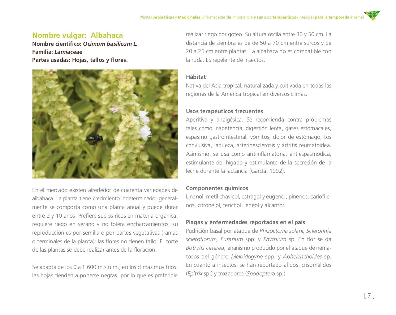 Vista previa del archivo PDF cartilla-aromatica-ica-baja-jun-6.pdf