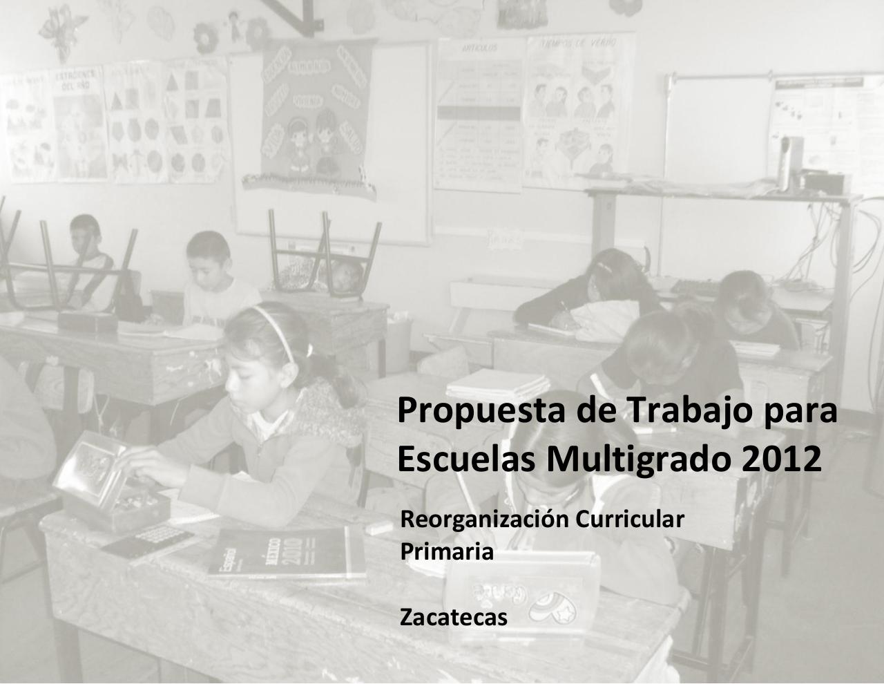 Vista previa del archivo PDF ptem-2012-reorganizaci-n-curricular-final.pdf