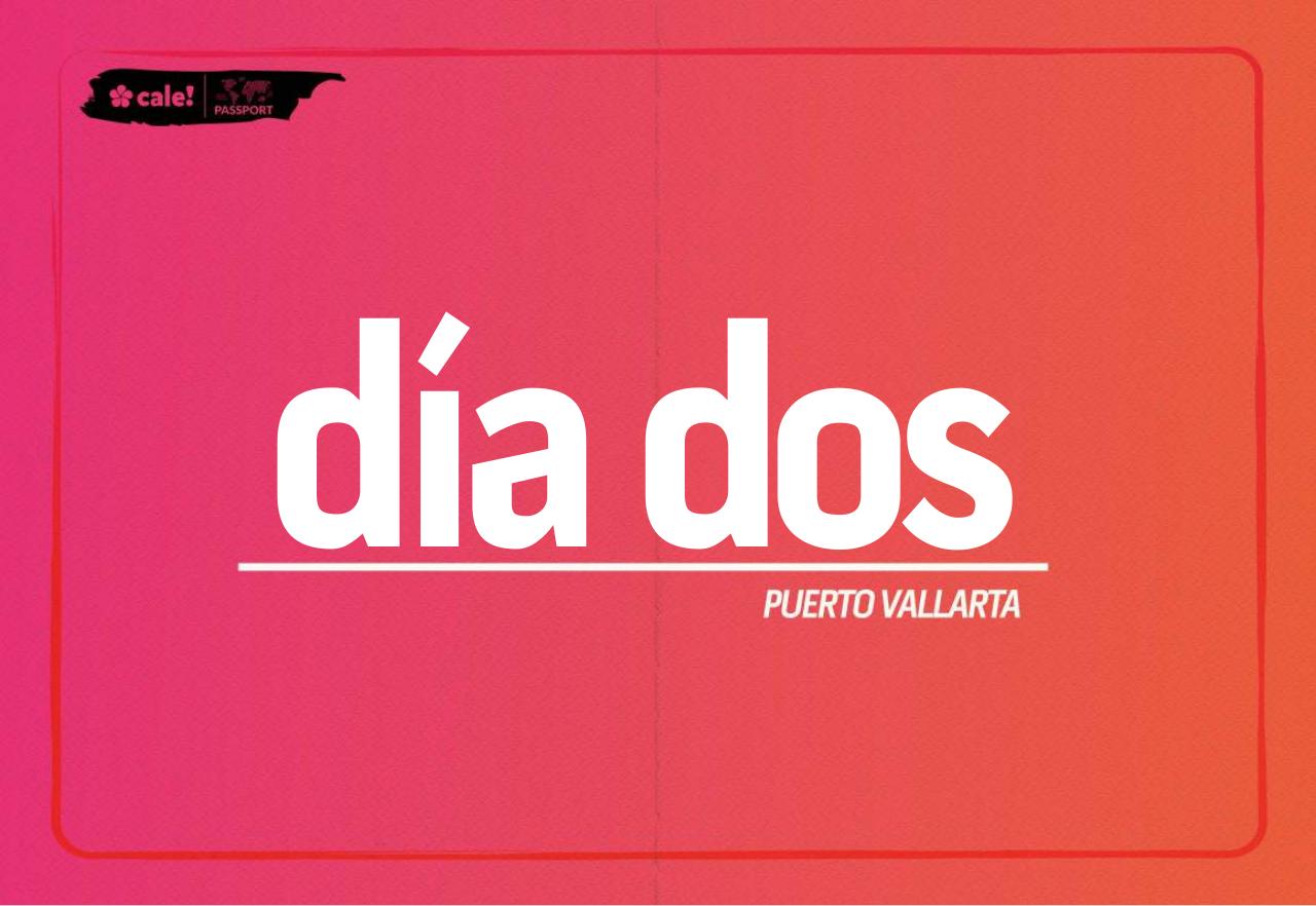 Vista previa del archivo PDF vallarta.pdf