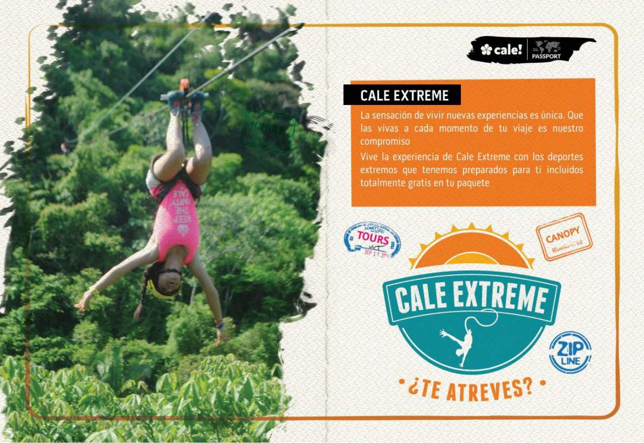 Vista previa del archivo PDF vallarta.pdf