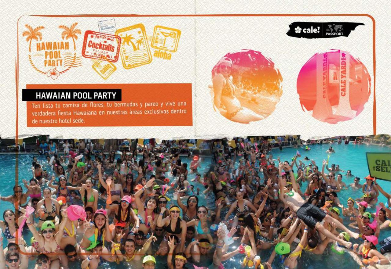 Vista previa del archivo PDF vallarta.pdf