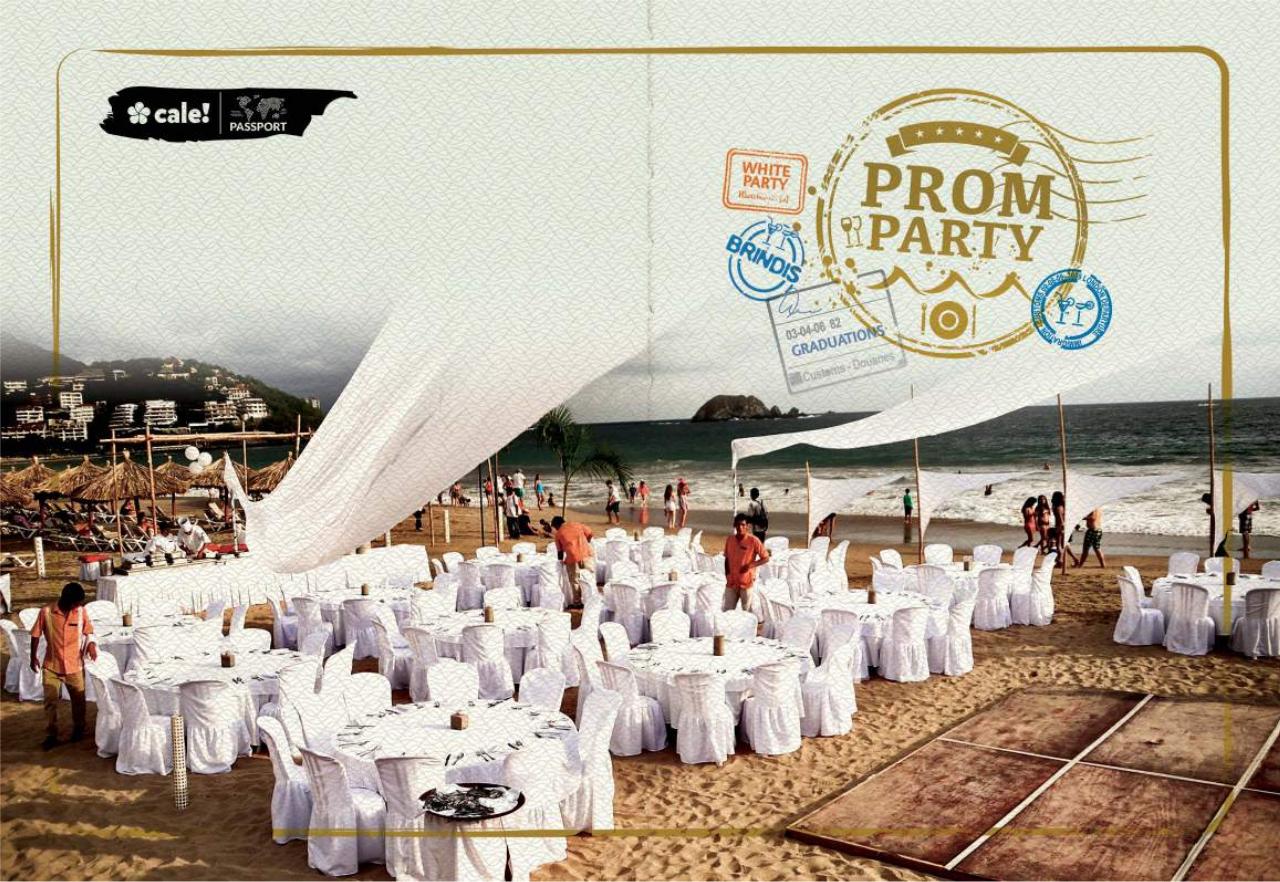 Vista previa del archivo PDF vallarta.pdf