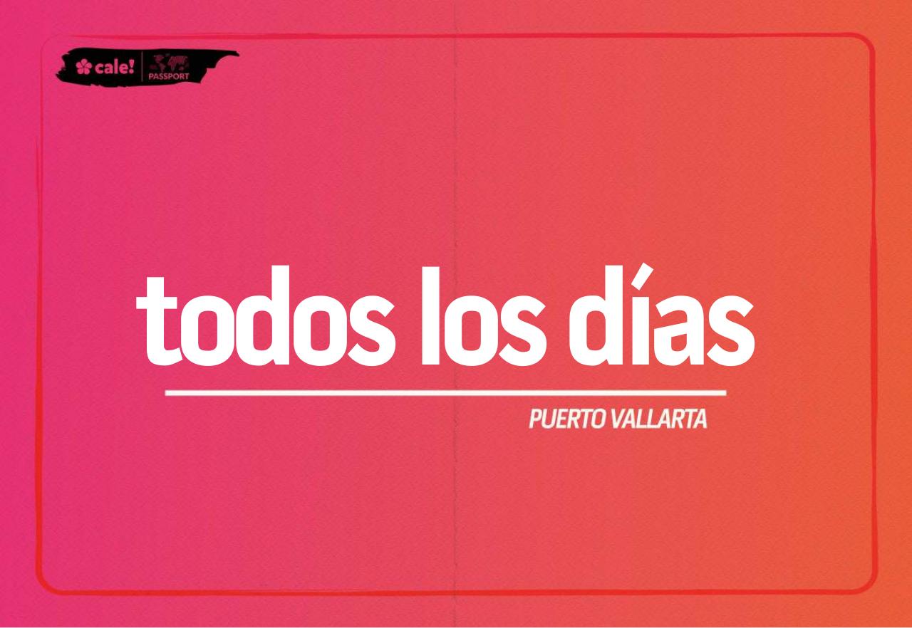 Vista previa del archivo PDF vallarta.pdf