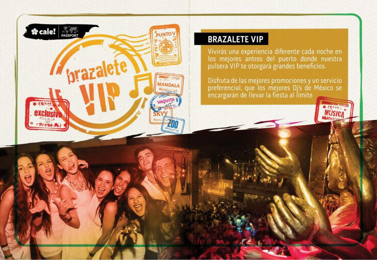 Vista previa del archivo PDF vallarta.pdf