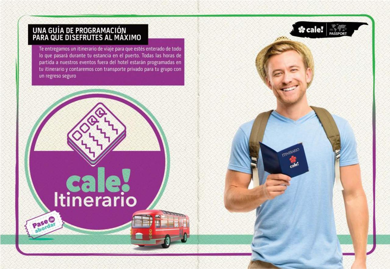 Vista previa del archivo PDF vallarta.pdf