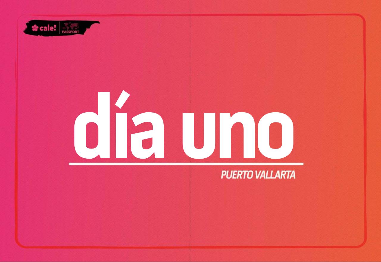 Vista previa del archivo PDF vallarta.pdf