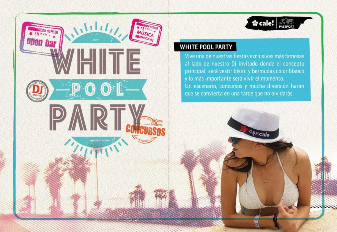 Vista previa del archivo PDF vallarta.pdf