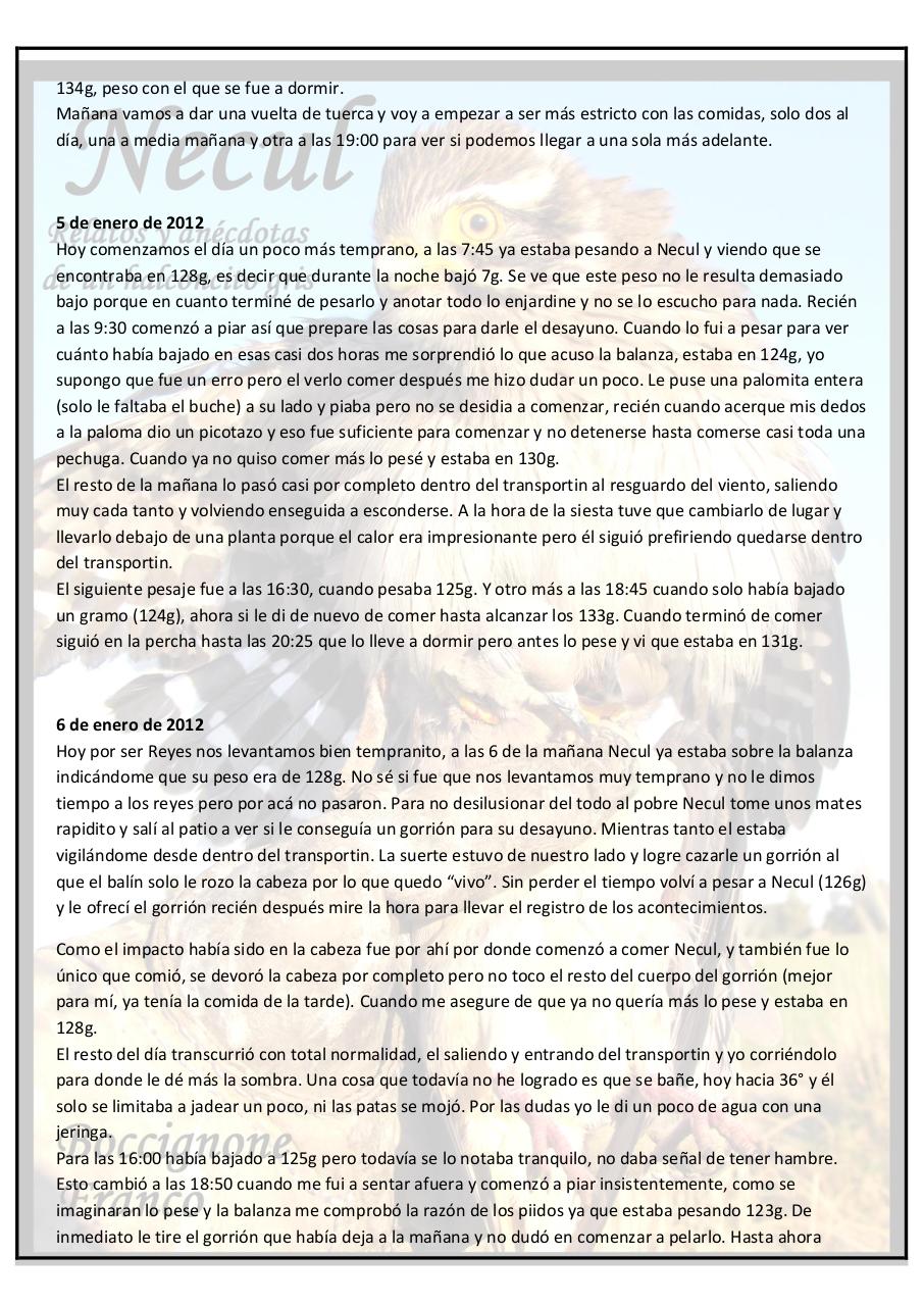 Vista previa del archivo PDF necul-relatos-y-anecdotas-de-un-halconcito-gris.pdf