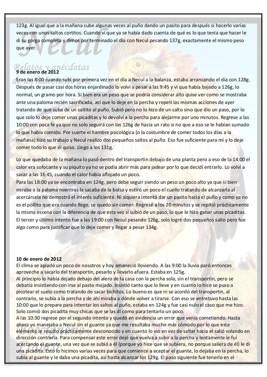 Vista previa del archivo PDF necul-relatos-y-anecdotas-de-un-halconcito-gris.pdf