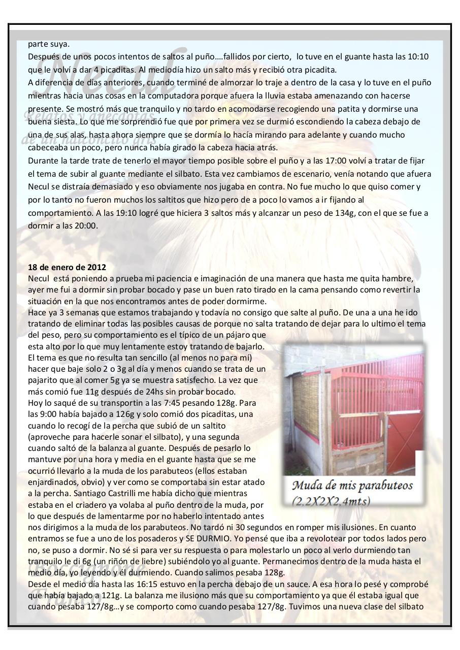 Vista previa del archivo PDF necul-relatos-y-anecdotas-de-un-halconcito-gris.pdf