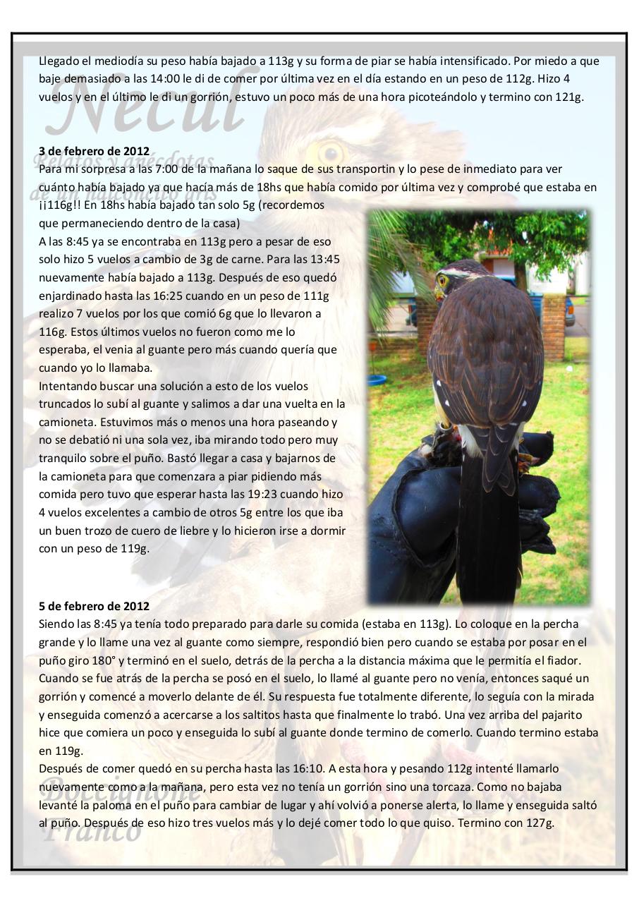 Vista previa del archivo PDF necul-relatos-y-anecdotas-de-un-halconcito-gris.pdf