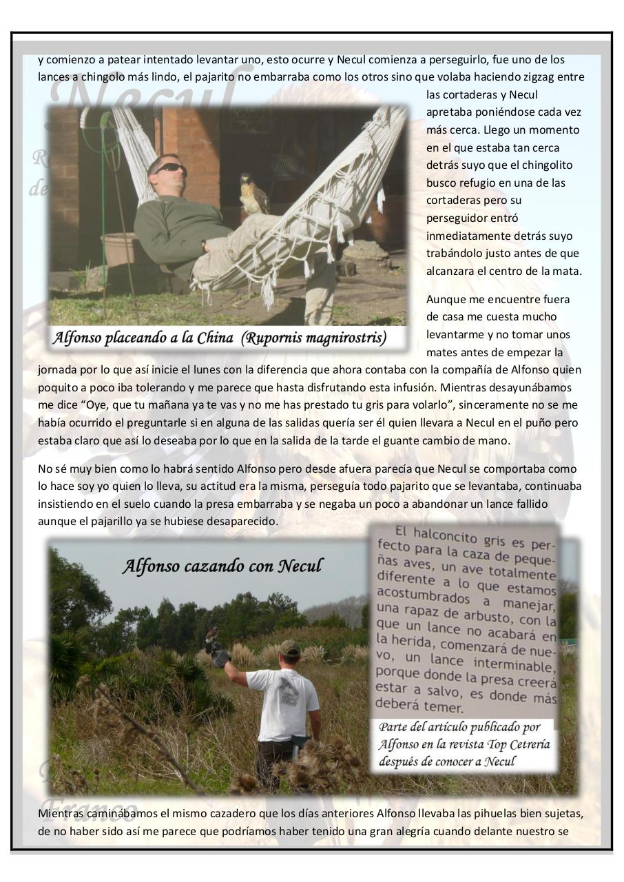Vista previa del archivo PDF necul-relatos-y-anecdotas-de-un-halconcito-gris.pdf