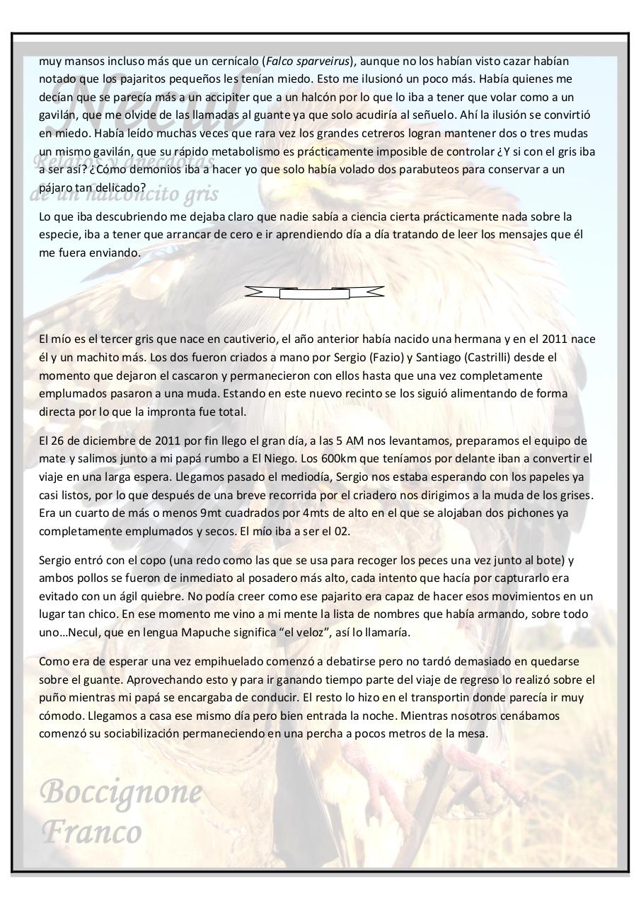 Vista previa del archivo PDF necul-relatos-y-anecdotas-de-un-halconcito-gris.pdf