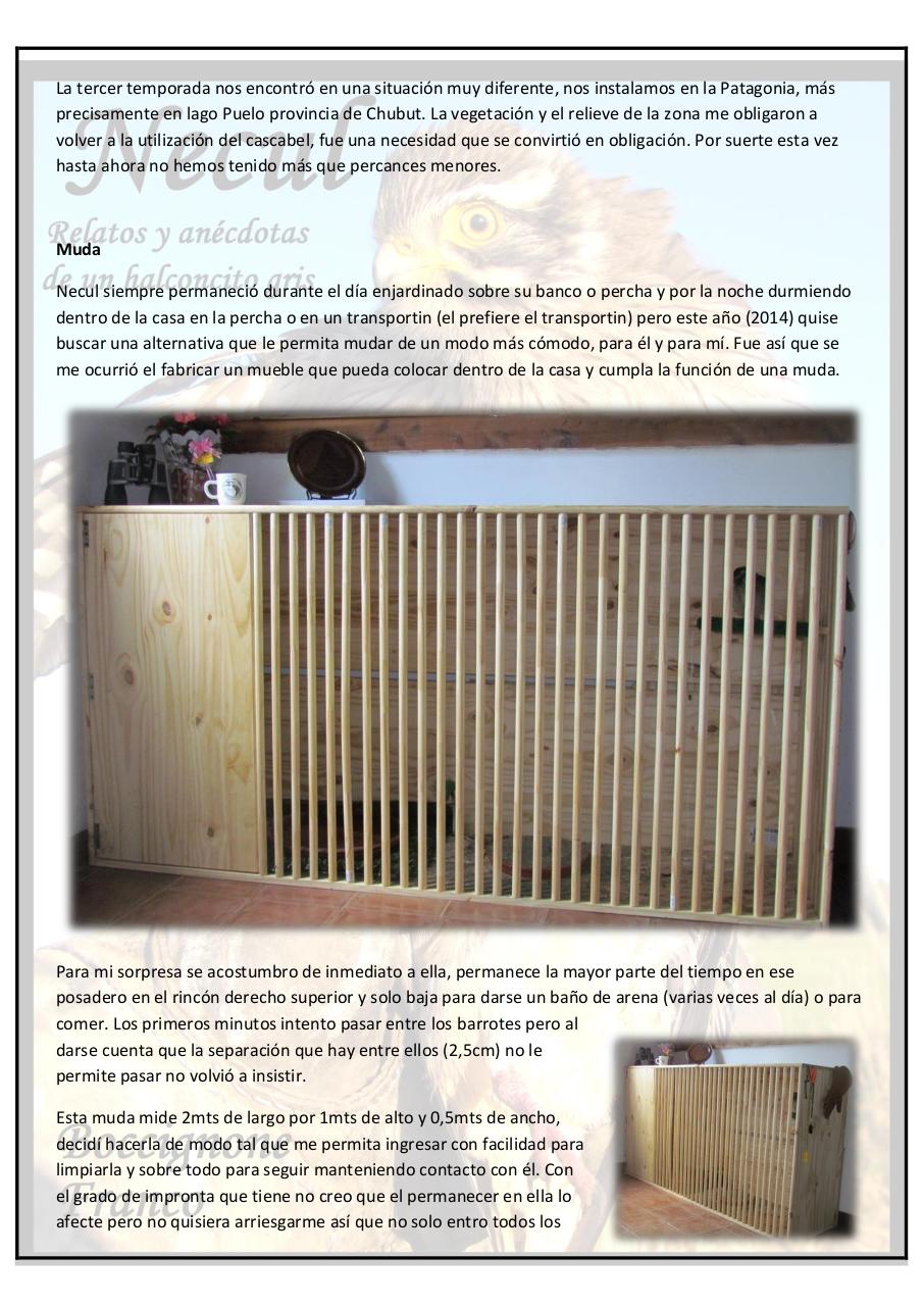 Vista previa del archivo PDF necul-relatos-y-anecdotas-de-un-halconcito-gris.pdf