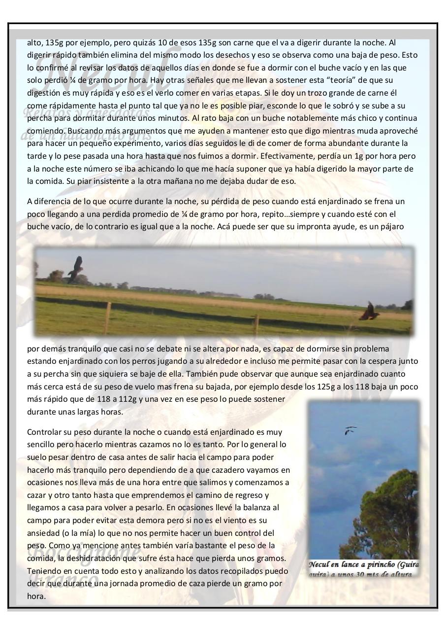 Vista previa del archivo PDF necul-relatos-y-anecdotas-de-un-halconcito-gris.pdf