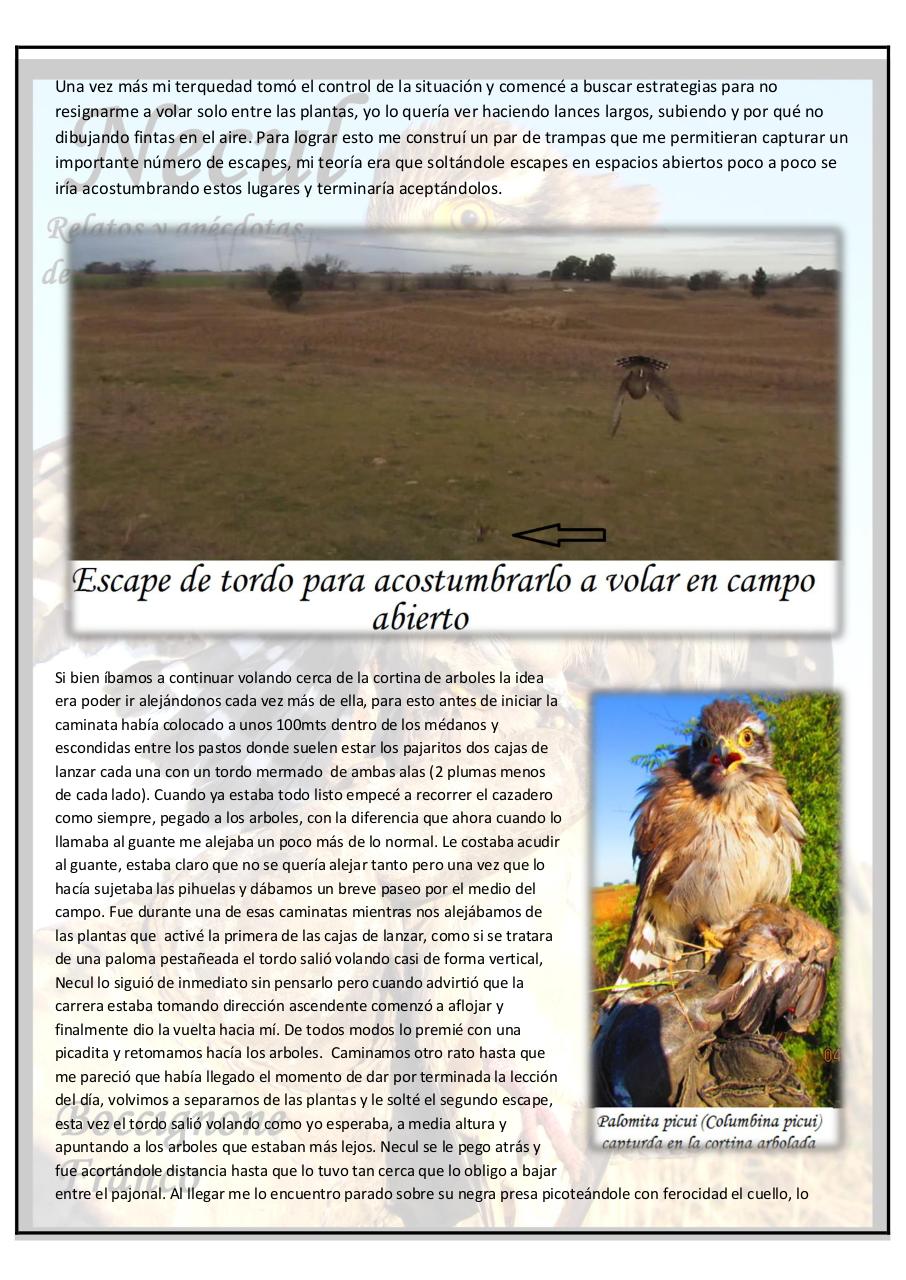 Vista previa del archivo PDF necul-relatos-y-anecdotas-de-un-halconcito-gris.pdf