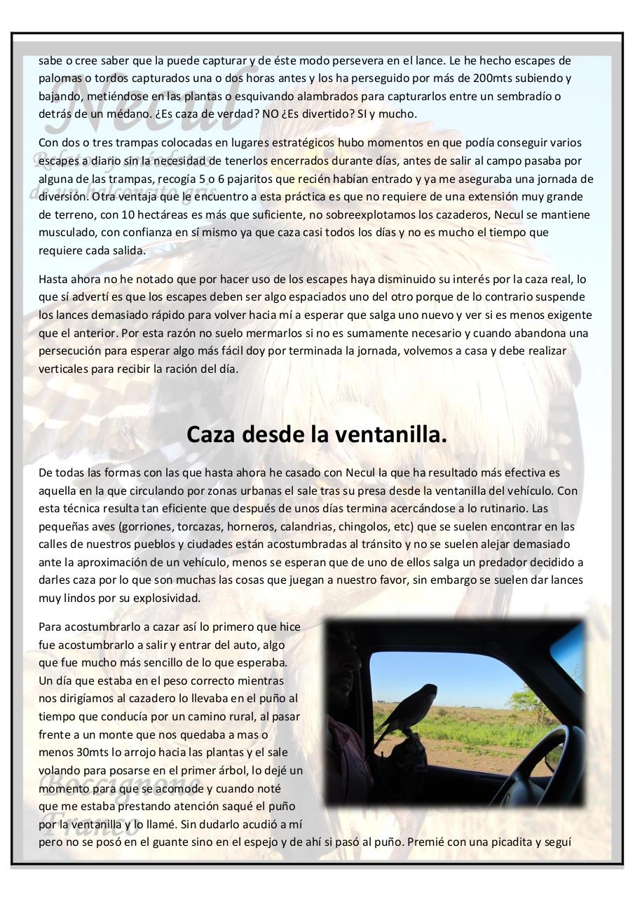 Vista previa del archivo PDF necul-relatos-y-anecdotas-de-un-halconcito-gris.pdf