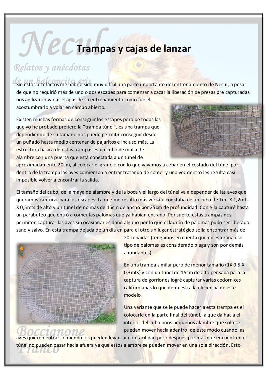 Vista previa del archivo PDF necul-relatos-y-anecdotas-de-un-halconcito-gris.pdf