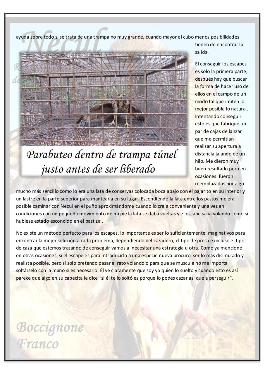 Vista previa del archivo PDF necul-relatos-y-anecdotas-de-un-halconcito-gris.pdf