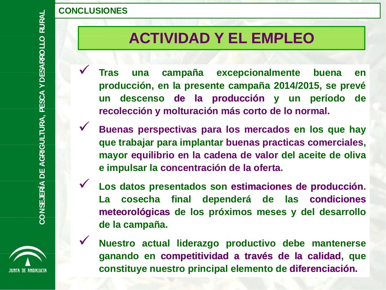 Vista previa del archivo PDF aforo-de-olivar-campana-2014-2015-de-la-junta-de-andalucia.pdf