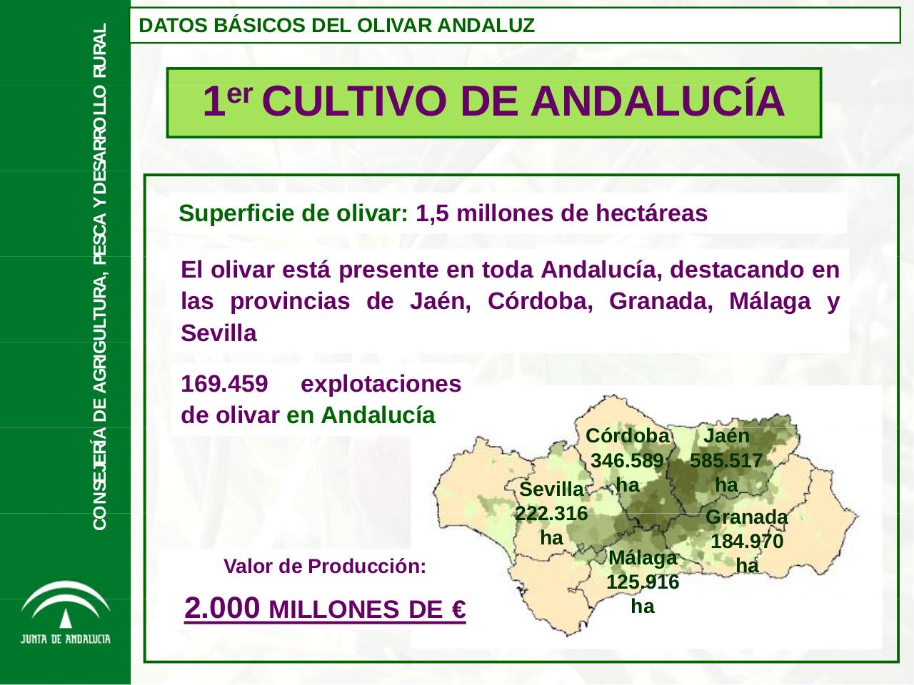 Vista previa del archivo PDF aforo-de-olivar-campana-2014-2015-de-la-junta-de-andalucia.pdf