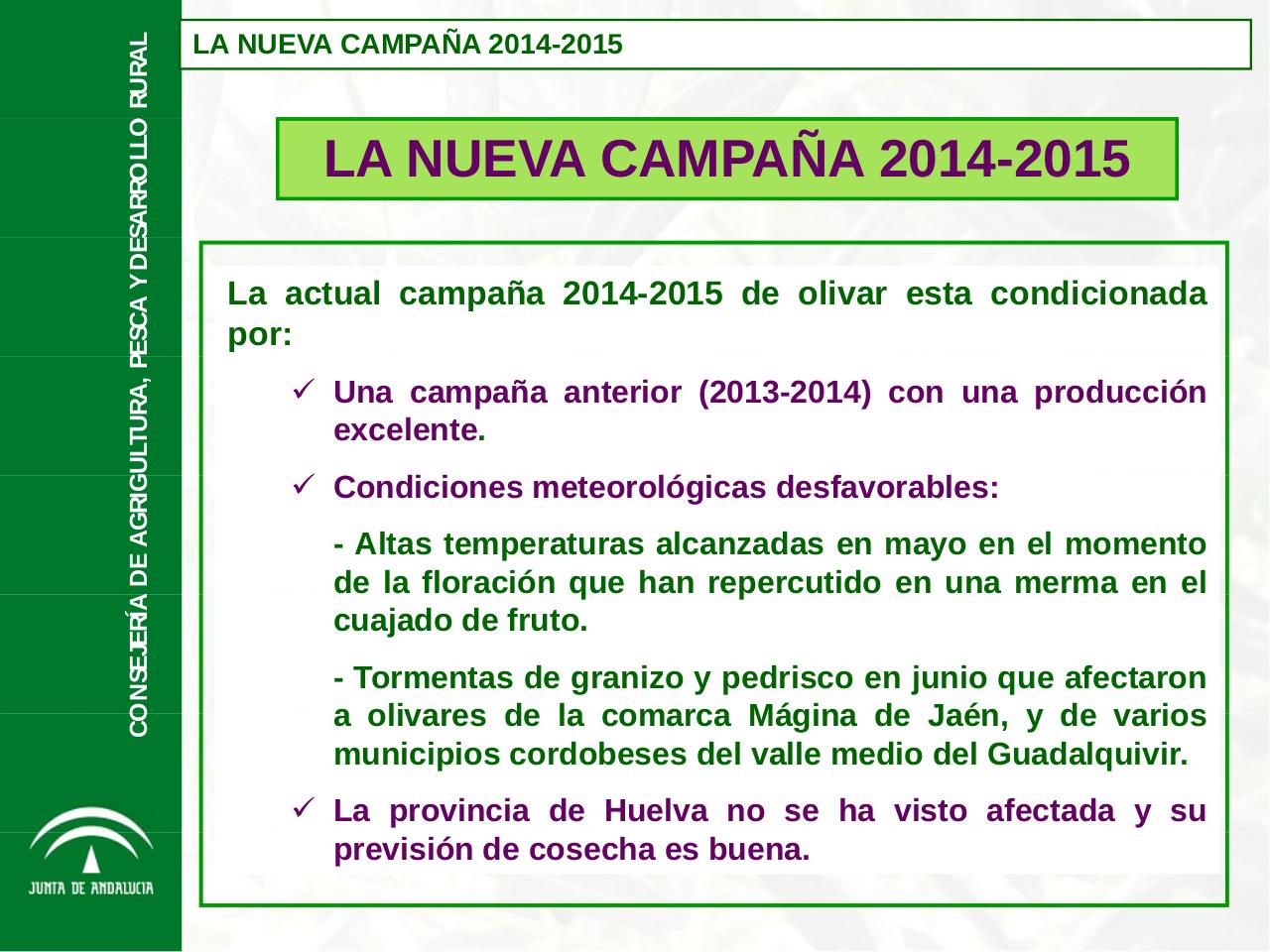 Vista previa del archivo PDF aforo-de-olivar-campana-2014-2015-de-la-junta-de-andalucia.pdf