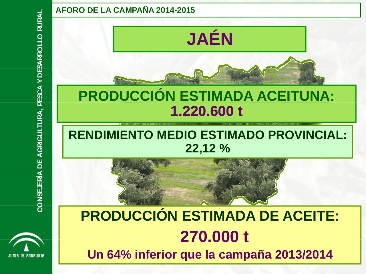 Vista previa del archivo PDF aforo-de-olivar-campana-2014-2015-de-la-junta-de-andalucia.pdf