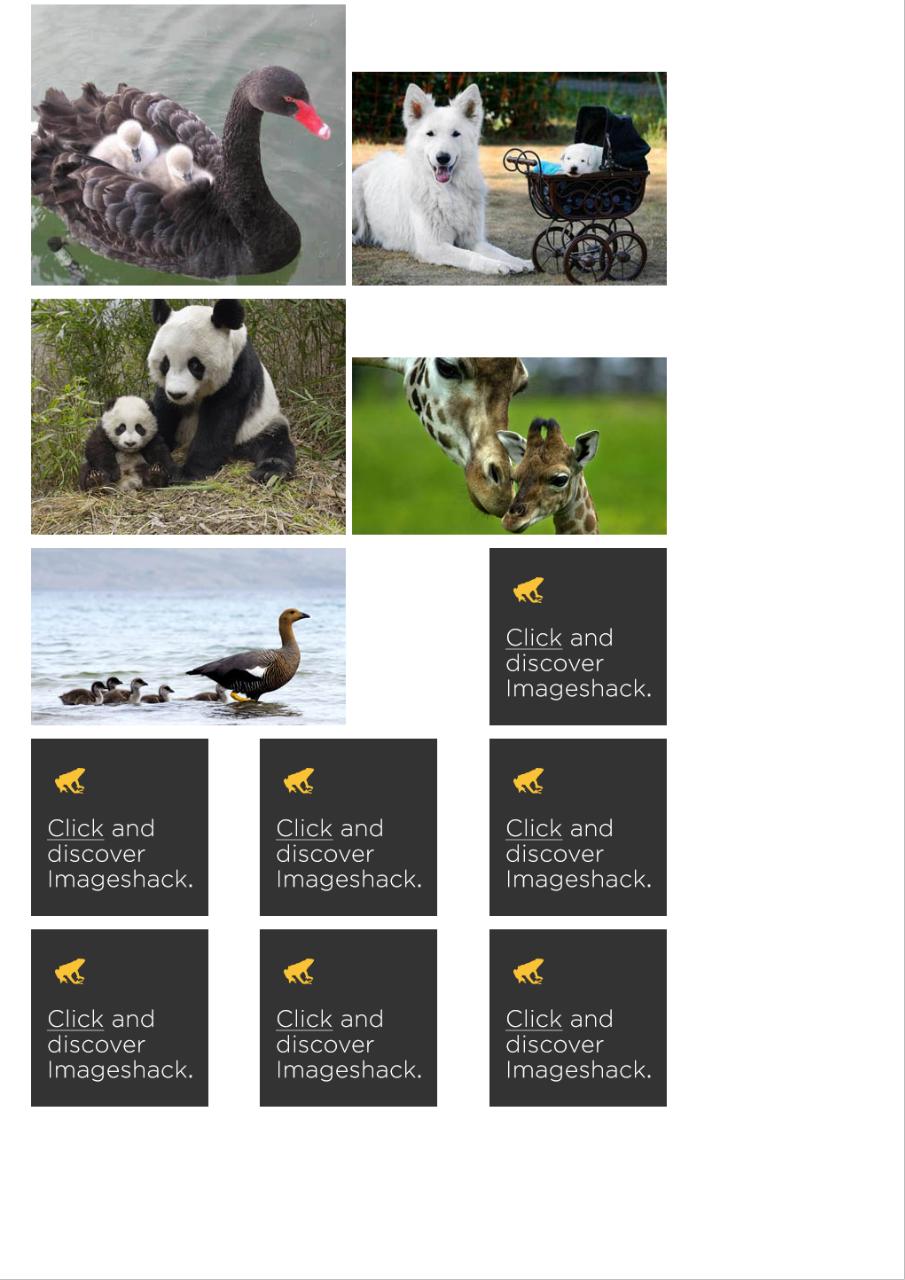 Vista previa del archivo PDF amor-de-madre-en-el-mundo-animal.pdf