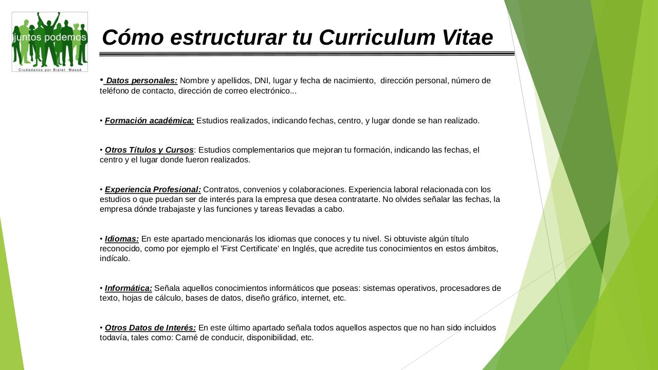 Vista previa del archivo PDF ciudadanos-taller-cv.pdf