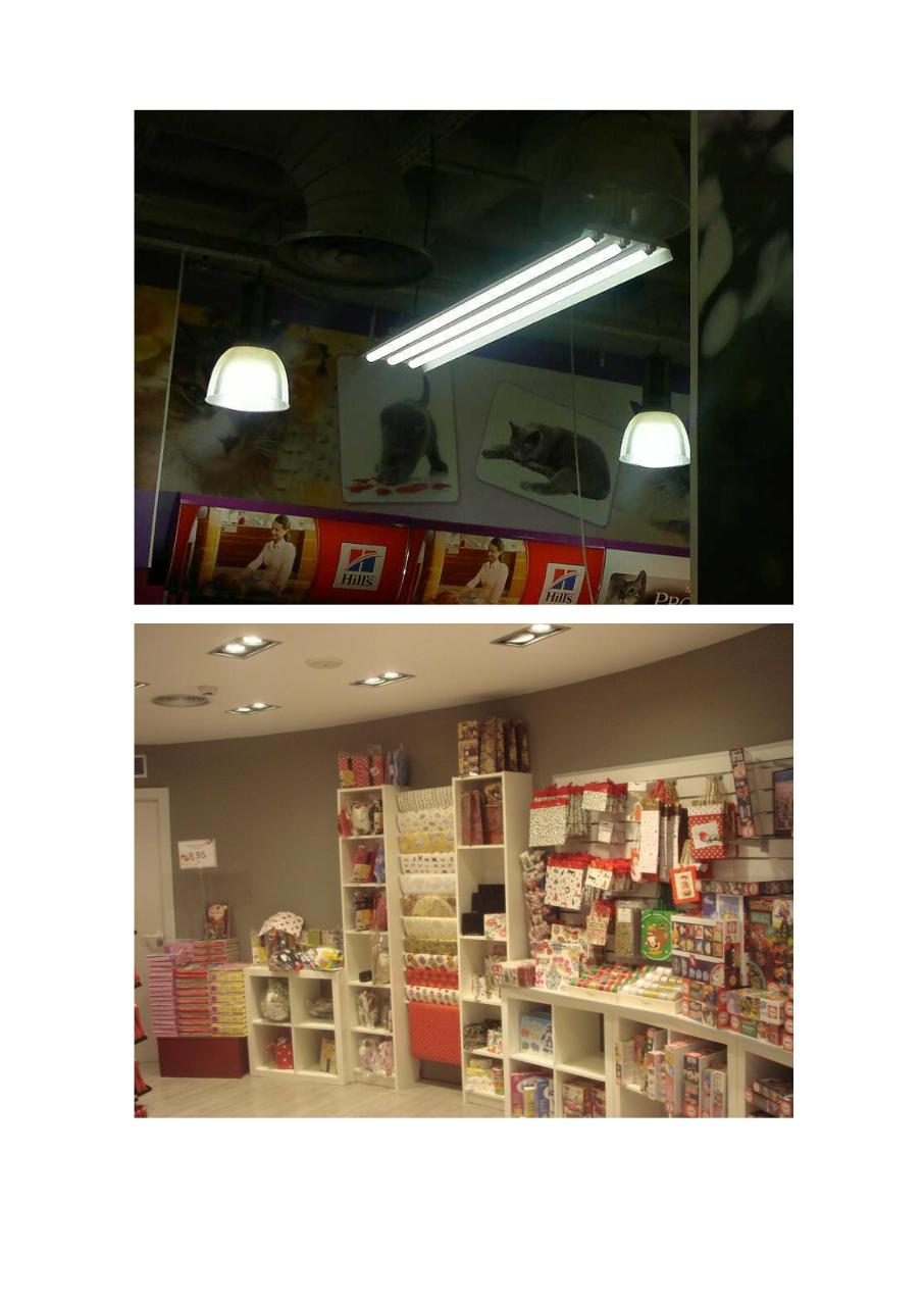 Vista previa del archivo PDF comercios.pdf