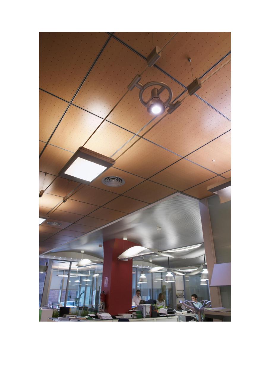 Vista previa del archivo PDF oficinas.pdf