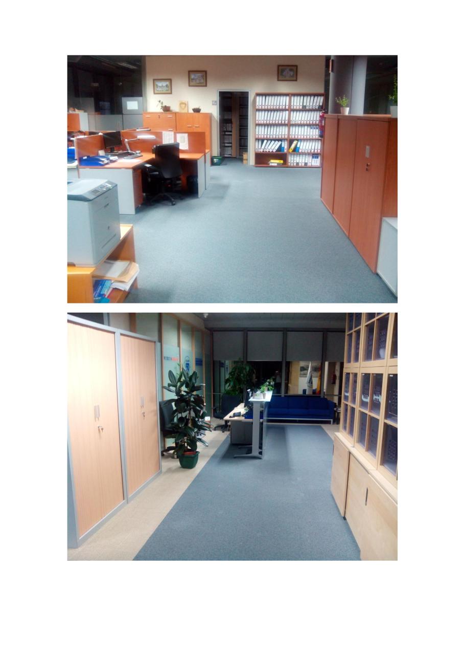 Vista previa del archivo PDF oficinas.pdf