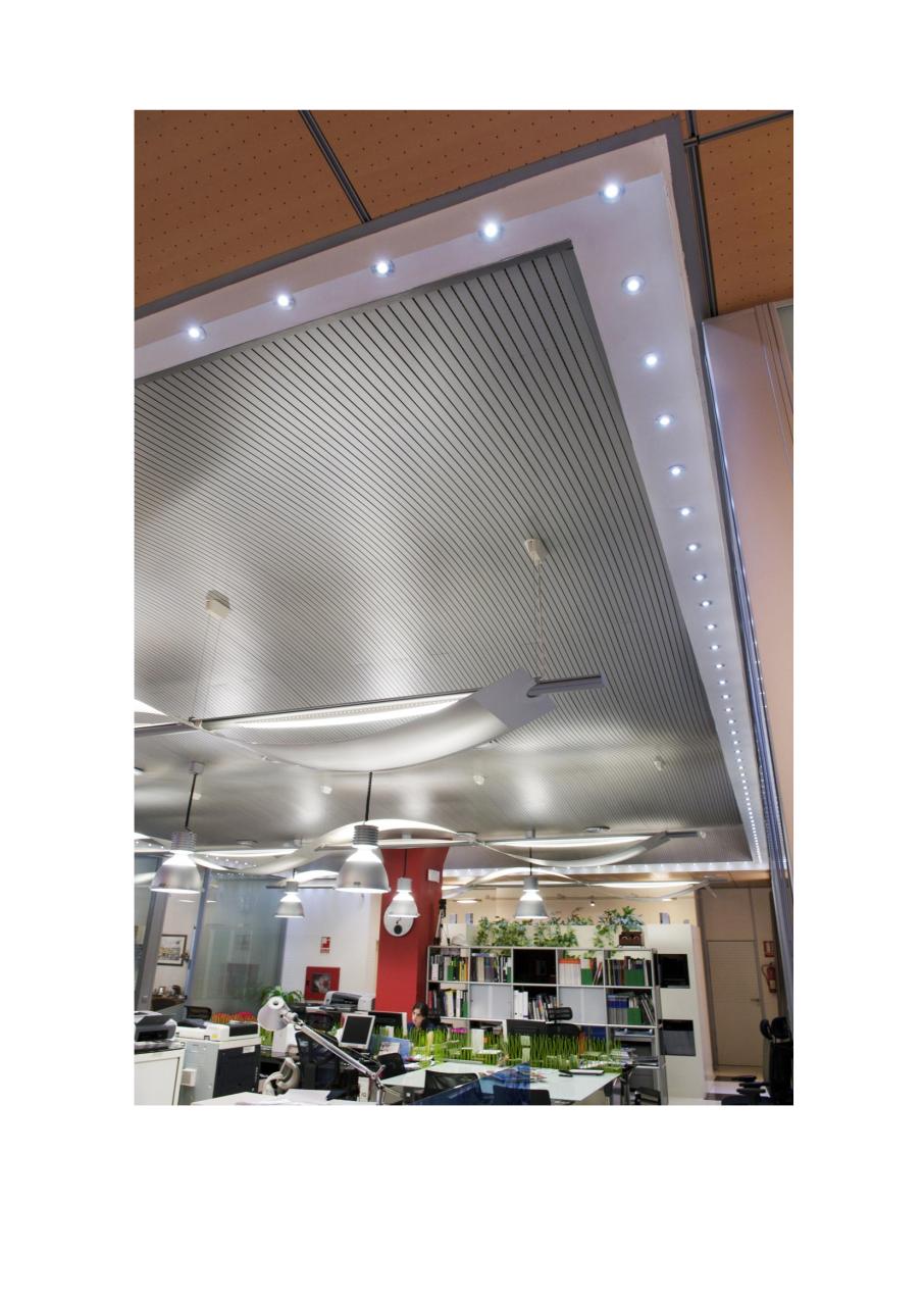 Vista previa del archivo PDF oficinas.pdf