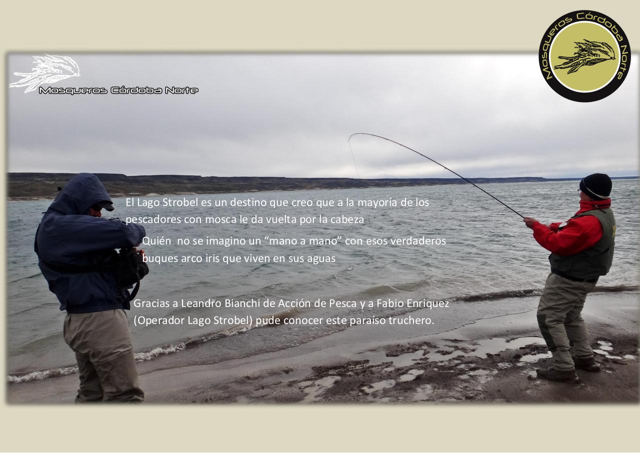 Vista previa del archivo PDF experiencia-strobel.pdf