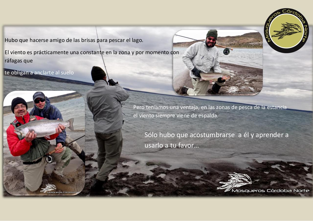 Vista previa del archivo PDF experiencia-strobel.pdf